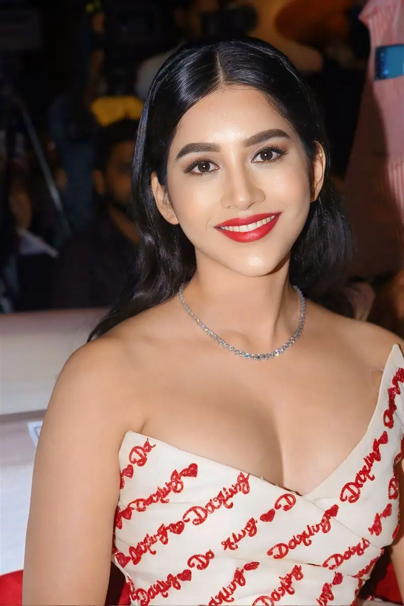 Nabha Natesh at Darling Movie Pre Release Event